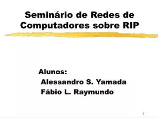 semin rio de redes de computadores sobre rip
