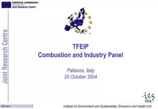 TFEIP Combustion and Industry Panel Pallanza, Italy 20 October 2004