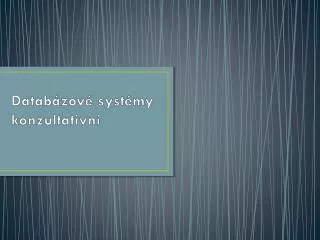 datab zov syst my konzultativn