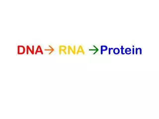 DNA ? RNA ? Protein