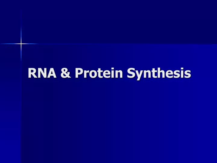 rna protein synthesis