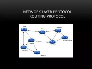 network layer protocol routing protocol