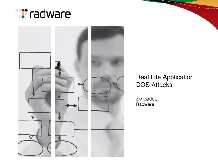 real life application dos attacks ziv gadot radware