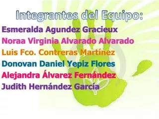integrantes del equipo