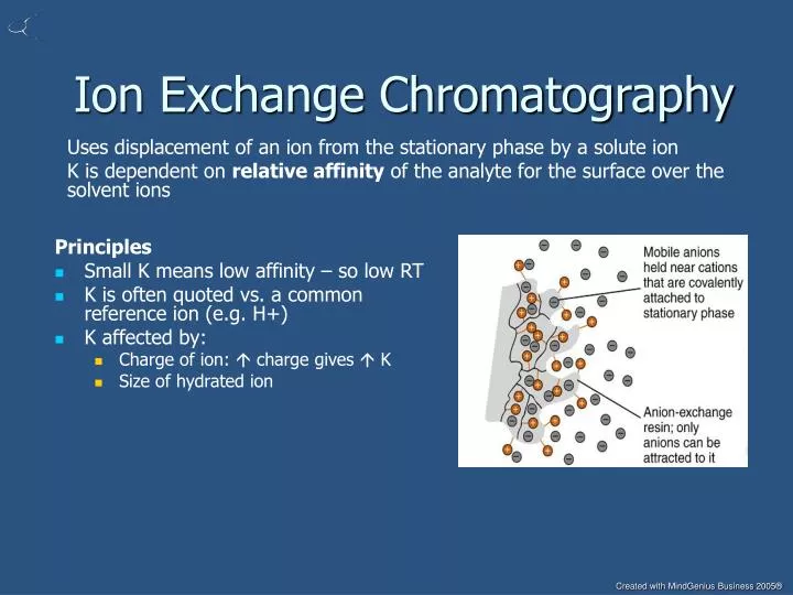 ion exchange chromatography