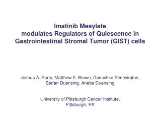 Clinical and experimental findings suggest tumor cell quiescence in imatinib-treated GIST