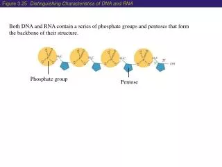 Phosphate group