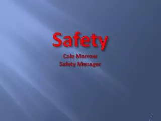 Safety Cale Marrow Safety Manager