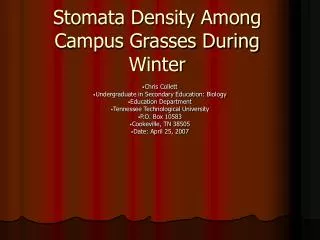 Stomata Density Among Campus Grasses During Winter