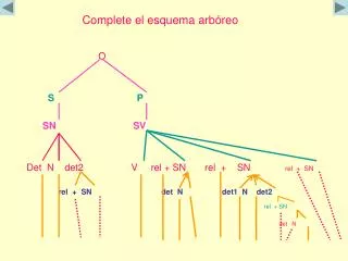 complete el esquema arb reo