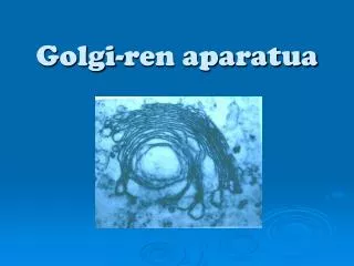 golgi ren aparatua