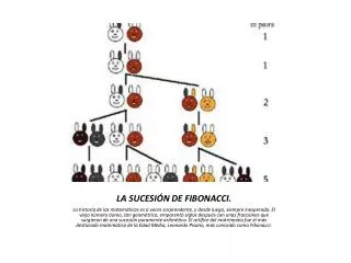 la sucesi n de fibonacci