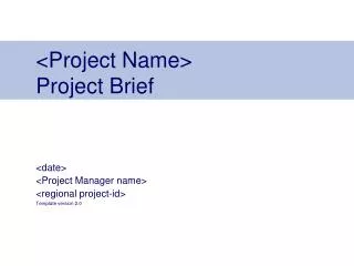 &lt;Project Name&gt; Project Brief