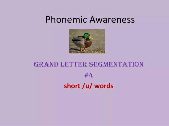 phonemic awareness