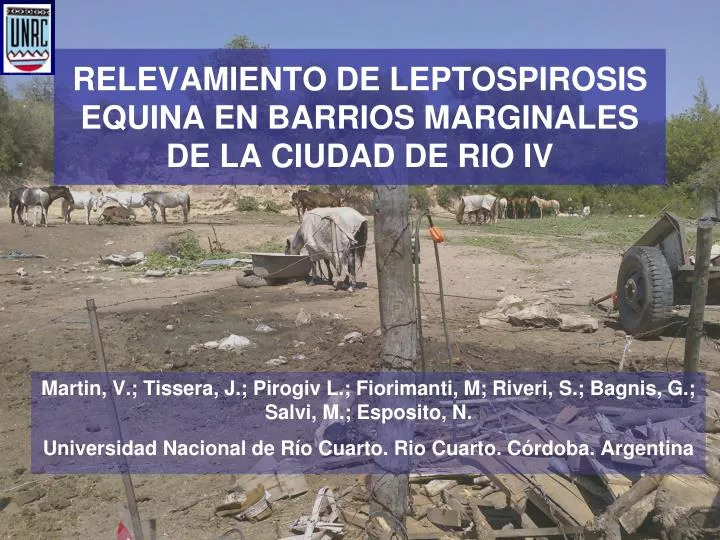 relevamiento de leptospirosis equina en barrios marginales de la ciudad de rio iv