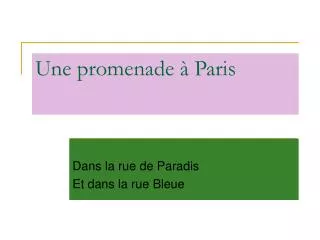 une promenade paris