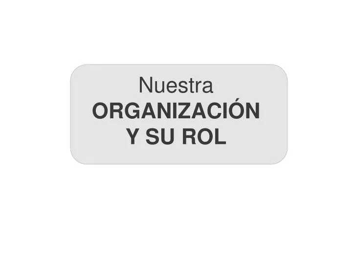 nuestra organizaci n y su rol