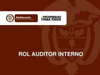 rol auditor interno