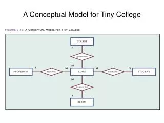 A Conceptual Model for Tiny College