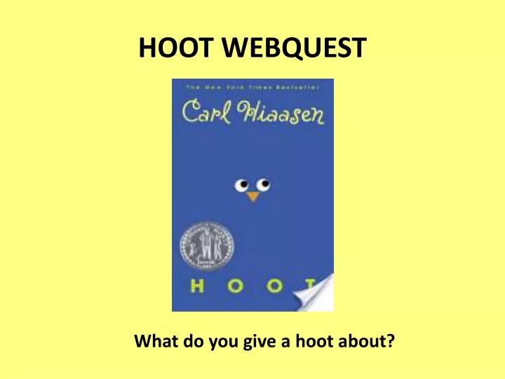 hoot webquest