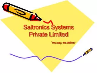 Saitronics Systems Private Limited You say, we deliver