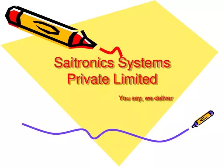 saitronics systems private limited you say we deliver
