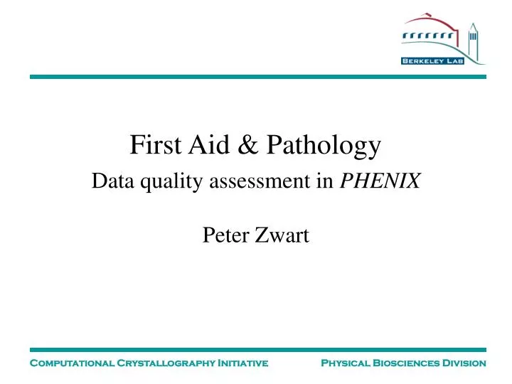 first aid pathology data quality assessment in phenix