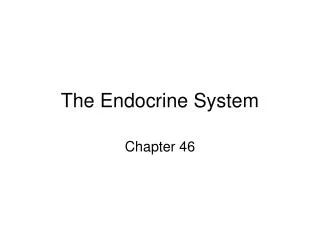 The Endocrine System