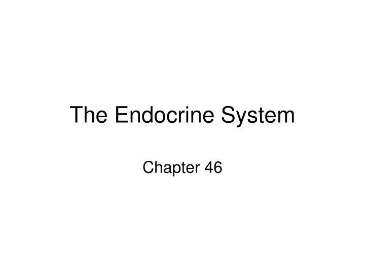 the endocrine system