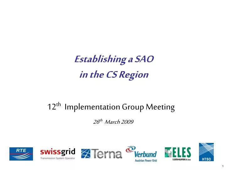 12 th implementation group meeting 26 th march 2009