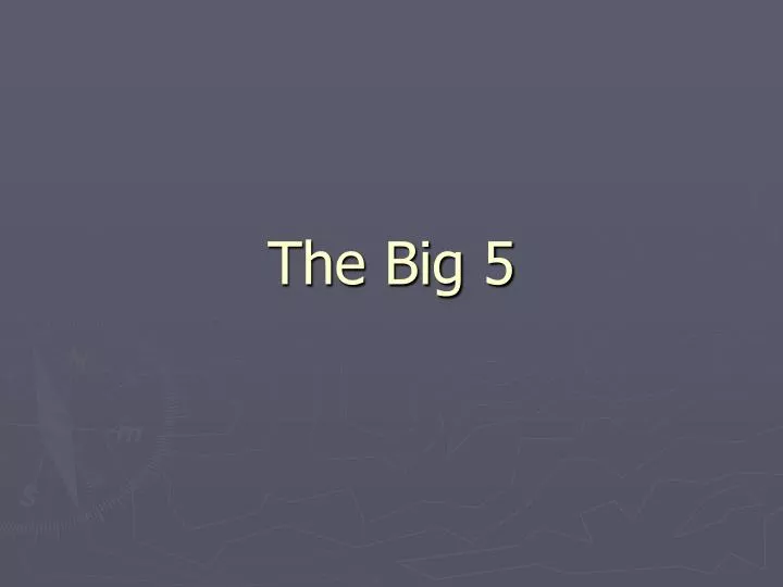 the big 5