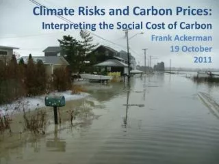 Climate Risks and Carbon Prices: Interpreting the Social Cost of Carbon
