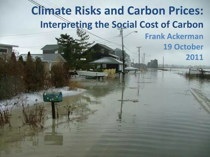 climate risks and carbon prices interpreting the social cost of carbon