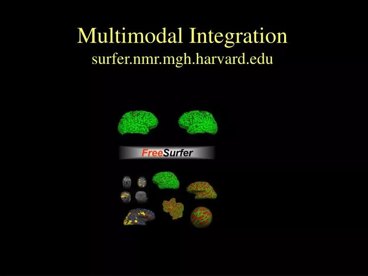 multimodal integration surfer nmr mgh harvard edu