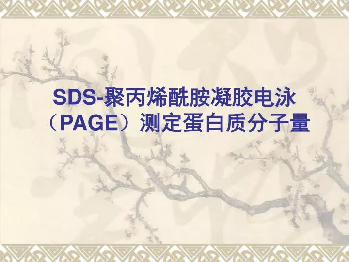 sds page