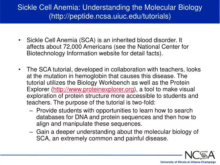 sickle cell anemia understanding the molecular biology http peptide ncsa uiuc edu tutorials