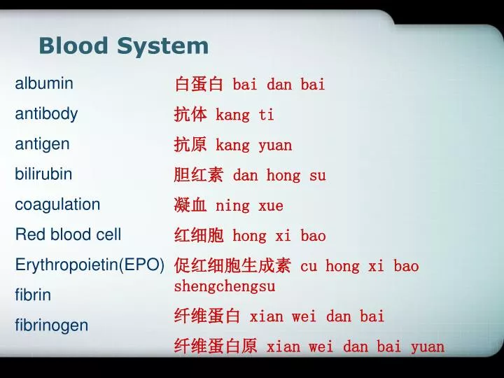 blood system