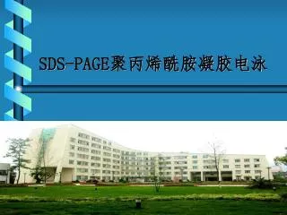 sds page