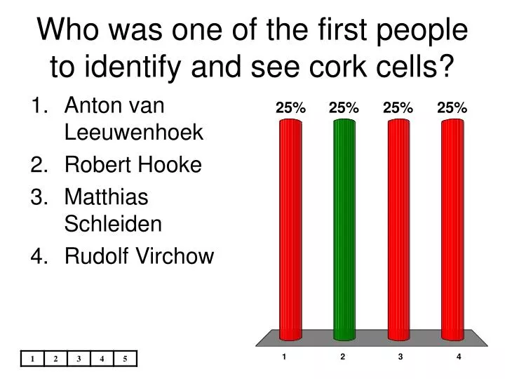 who was one of the first people to identify and see cork cells