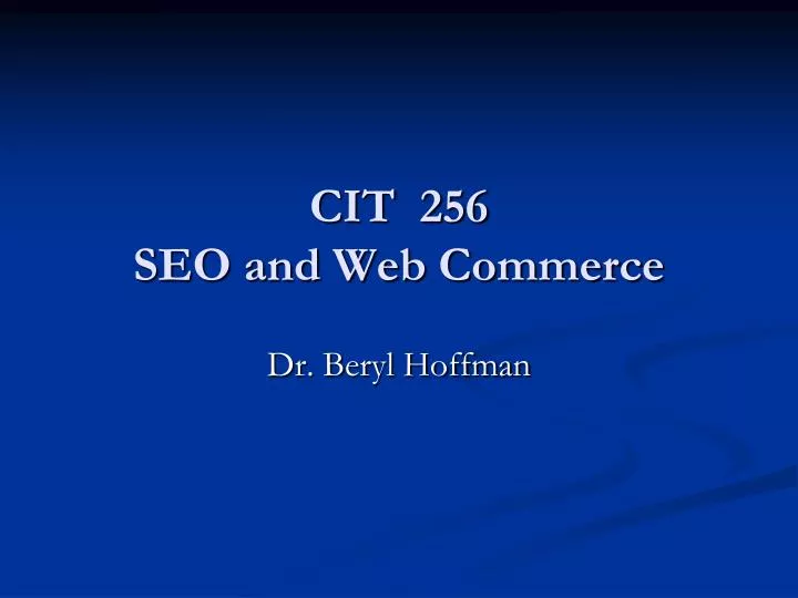 cit 256 seo and web commerce