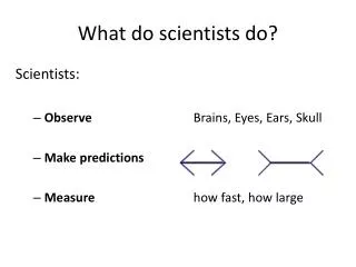 What do scientists do?