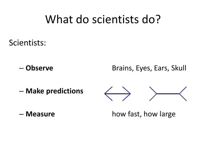 what do scientists do