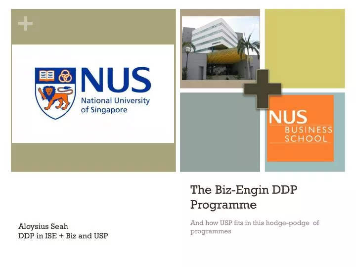 the biz engin ddp programme