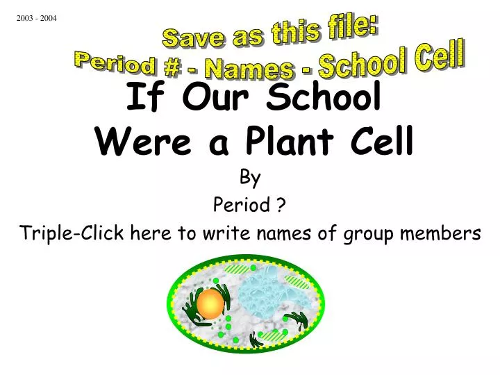 if our school were a plant cell