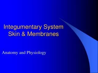 Integumentary System Skin &amp; Membranes