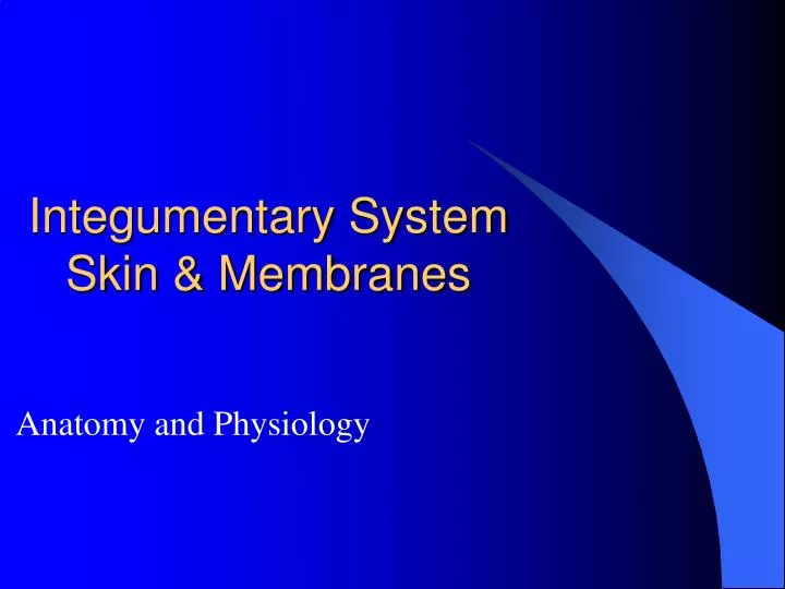 integumentary system skin membranes