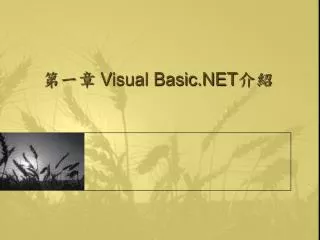 ??? Visual Basic.NET ??