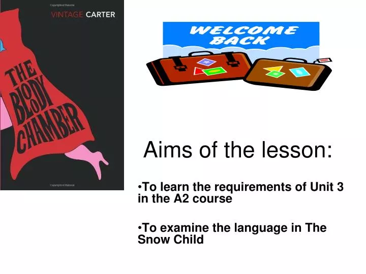 aims of the lesson