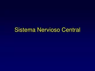 sistema nervioso central