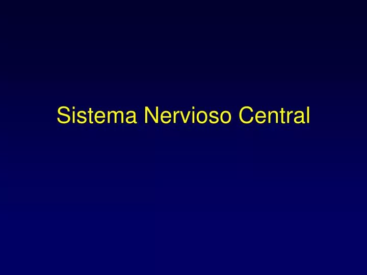 sistema nervioso central